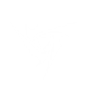 Electro